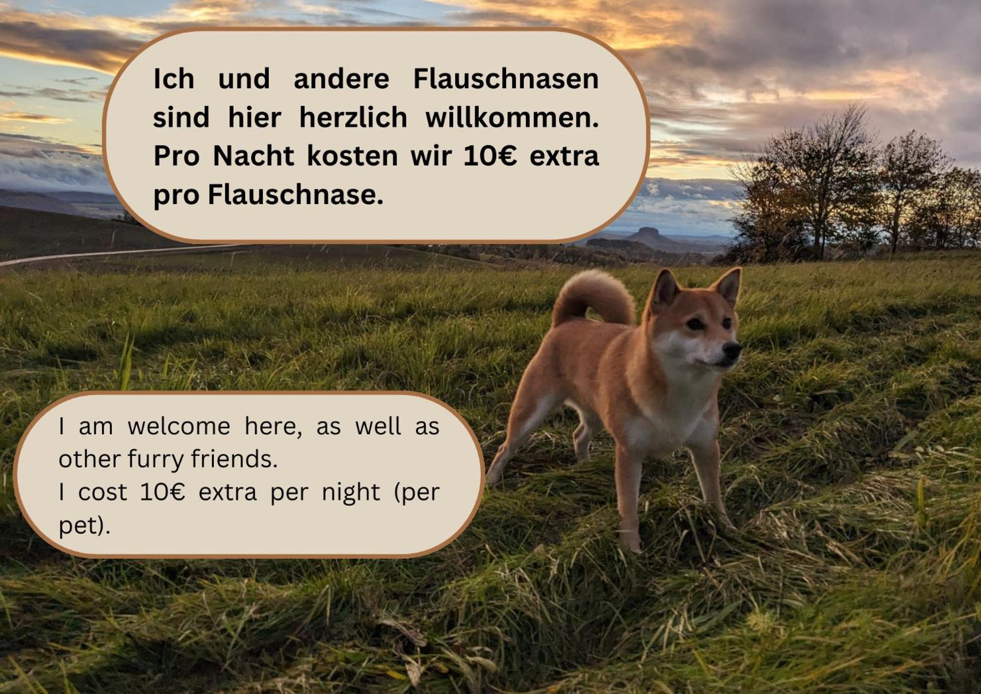 S3 - Urlaubsmagie - Fuer 4P Mitten Im Elbsandsteingebirge Sebnitz Esterno foto